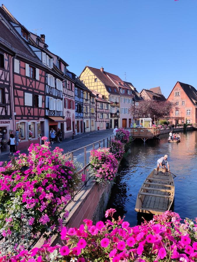 Au Bretzel Dore - Centre Historique Colmar Zewnętrze zdjęcie